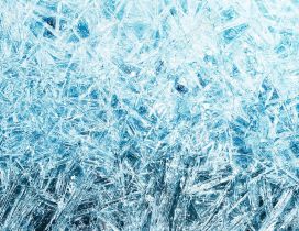 Frozen window - Wonderful ice particles