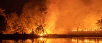 Australia burn - Fire in the continent