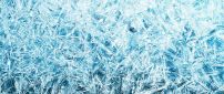 Frozen window - Wonderful ice particles