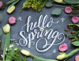Hello Spring write on blackboard at school - Flowers time