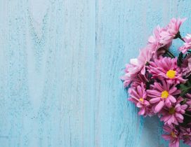 Pink flowers bouquet on a blue background - HD wallpaper