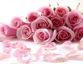 Light pink flowers - Rose bouquet - Special woman 8 March