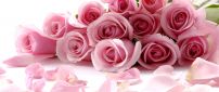 Light pink flowers - Rose bouquet - Special woman 8 March