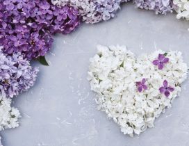 Wonderful white heart made from flowers-Lilac Spring perfume
