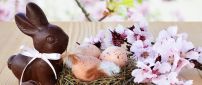 Easter eggs in a bird house - Bunny and flowers