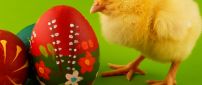 Sweet little fluffy chicken - Painted Easter eggs
