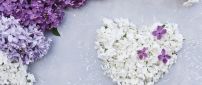 Wonderful white heart made from flowers-Lilac Spring perfume