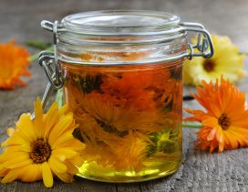 Infused flowers in olive oil - Recipe for migraine