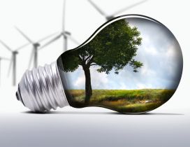 Nature in a light bulb - Explore nature safety
