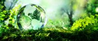 Earth from crystal globe - Nature is very fragile