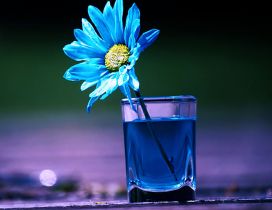 Blue flower in a glass with blue water Abstract 3D wallpaper