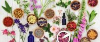 Recipe with essential oils seeds - Aromatherapy benefits