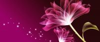 Two pink flowers - Beauty wallpaper digital art design