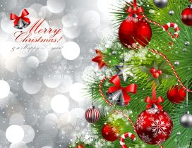 Merry Christmas and a happy new year