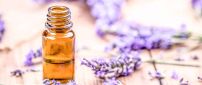 Lavender Essential Oils - Purple color