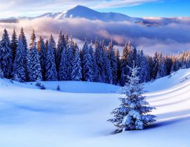 Wonderful view white snow mountain season