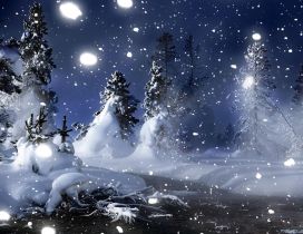 Winter night in the forest - HD wallpaper