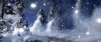 Winter night in the forest - HD wallpaper