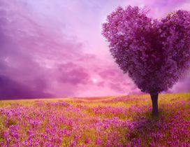 Wonderful heart tree - Purple flowers on the nature