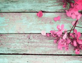 Flowers on an old wooden table - HD wallpaper