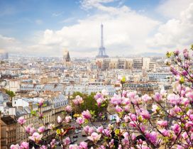 Spring season over the Paris - HD wallpaper