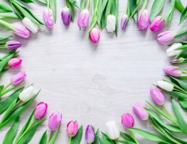 Heart shape made from colorful tulips - Spring flowers