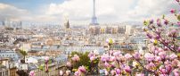Spring season over the Paris - HD wallpaper