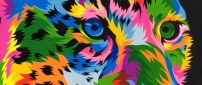Wild tiger colorful animal abstract art design