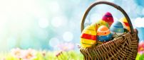 Basket full with colorful Easter eggs in a beautiful day