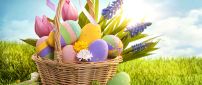 Basket full of Easter color eggs - Wonderful spring time