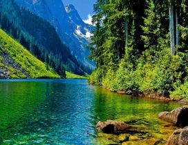 Wonderful mountain lake in the middle of the forest
