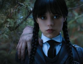 Wonderful serial 2022 - Wednesday Addams and the hand