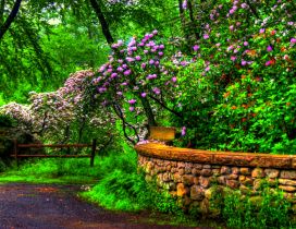 Wonderful Botanic green garden - HD wallpaper