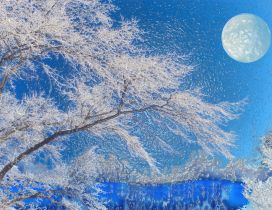 Big moon and a wonderful blue light of the nature