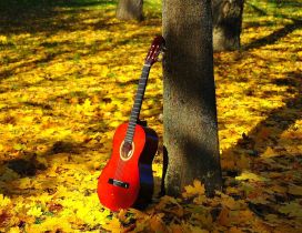 Red guitar in the yellow forest  - Music is beautiful