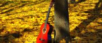 Red guitar in the yellow forest  - Music is beautiful