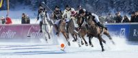 Horse winter sport - wonderful season time