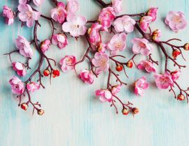 Cherry flowers artistic paint - HD spring season wallpaper