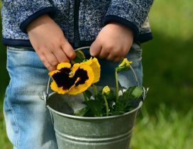 Black and Yellow flowers - Kid holding flowers