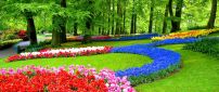 Beautiful garden in a park - wonderful flowers