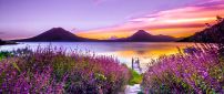 Wonderful path between flowers - Pontoon on the lake