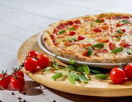 Pizza with cherry tomatoes and basil - HD wallpaper