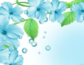 Blue flowers and green leaves in the water - HD wallpaper