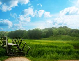 Wooden bridge in a wonderful green place - Nature time