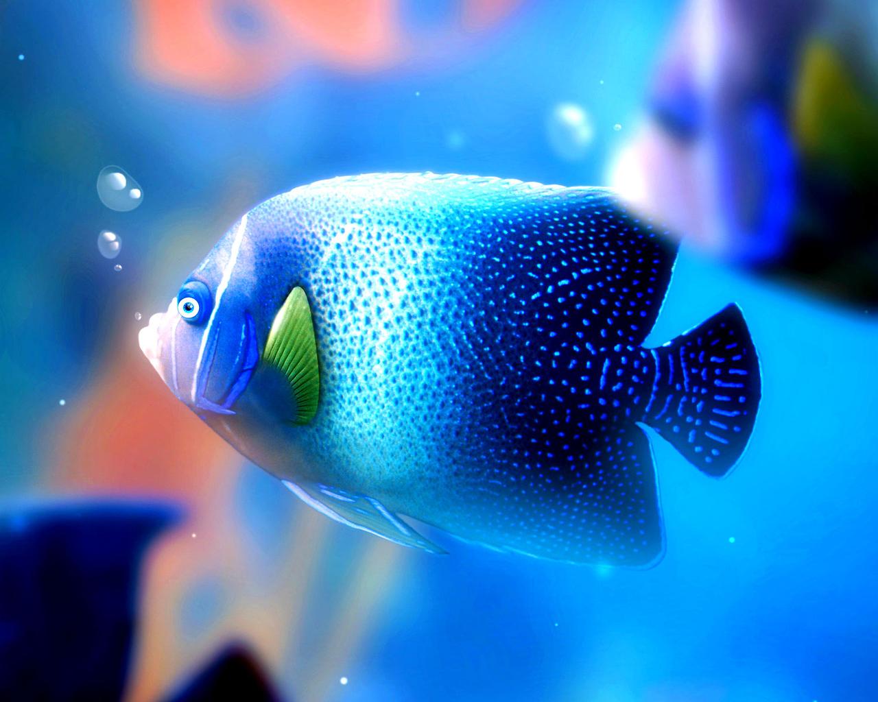 Big blue fish under the water - HD wallpaper