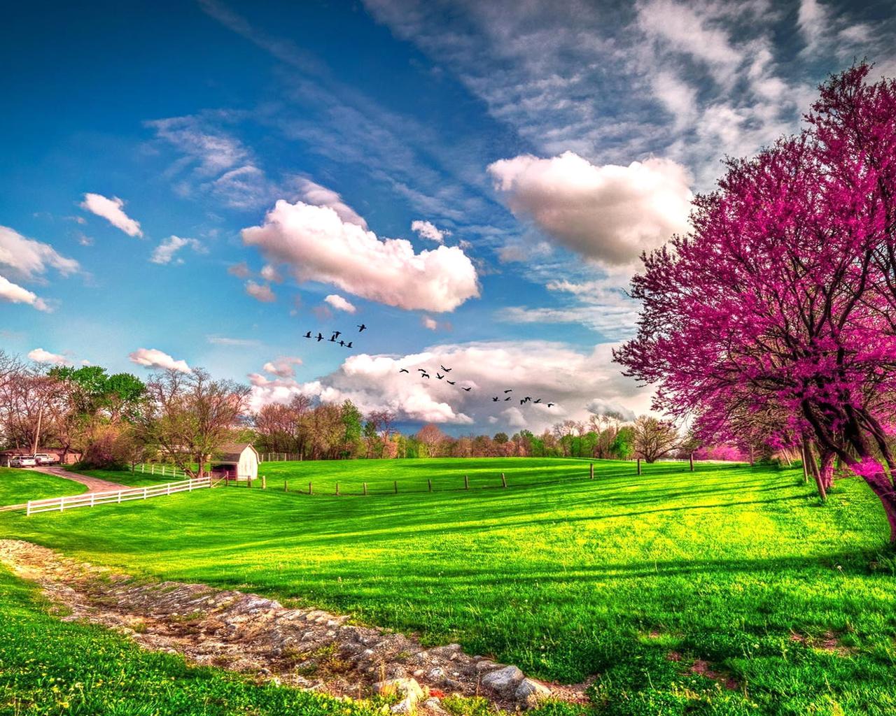 Landscape beautiful spring nature - HD wallpaper