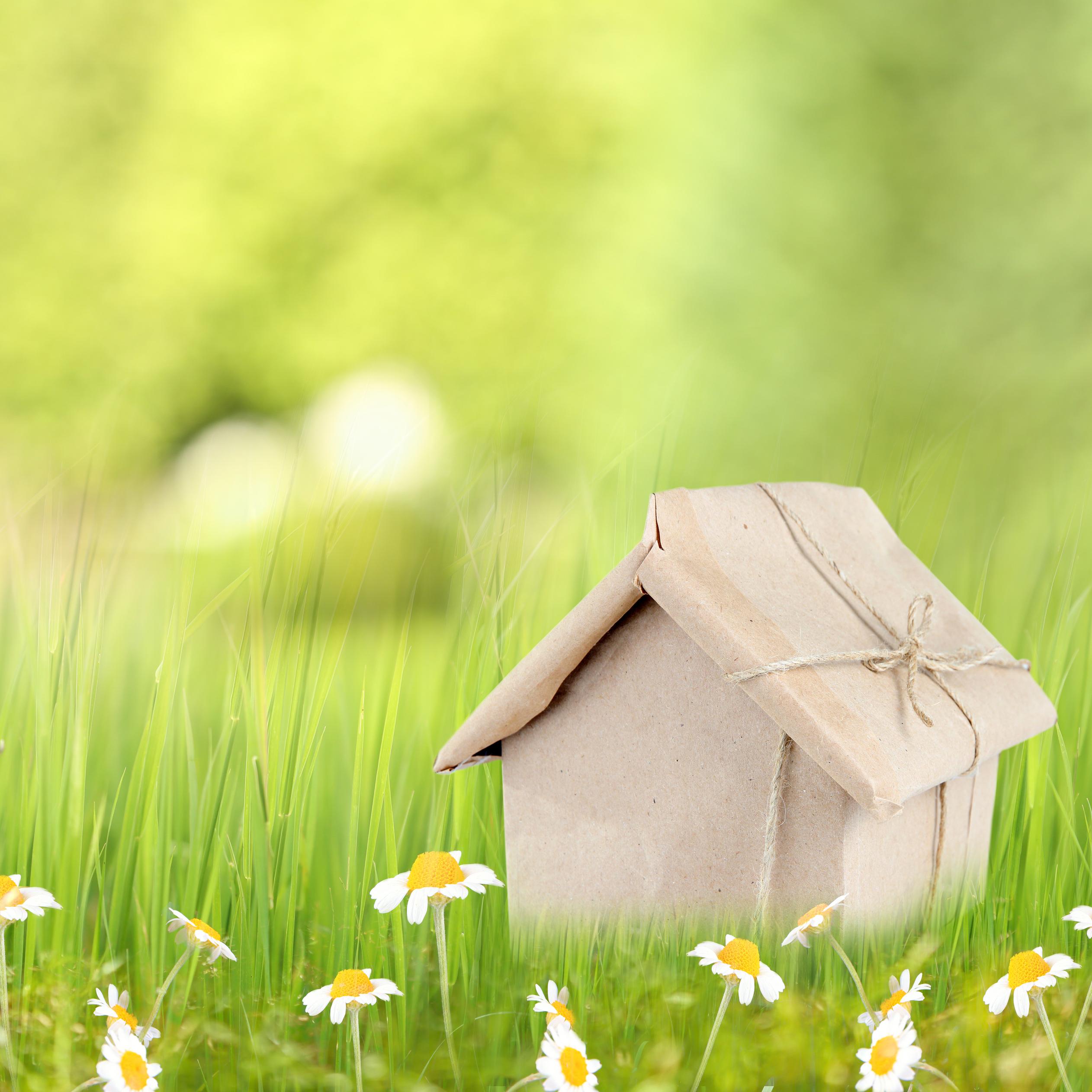 Small house gift and spring flowers - HD wallpaper