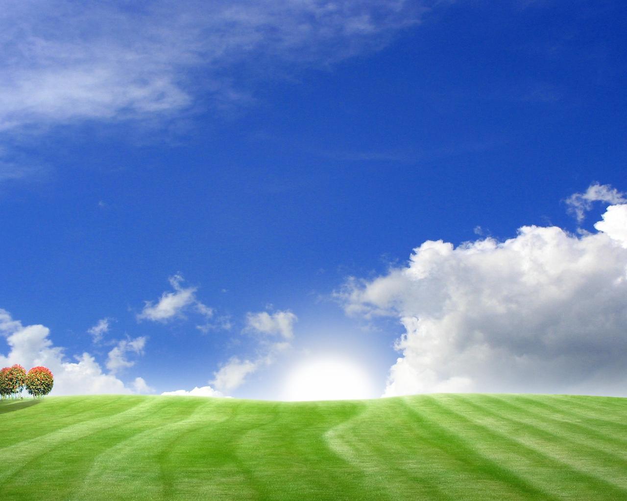 Blue sky and green field - Wonderful summer HD wallpaper