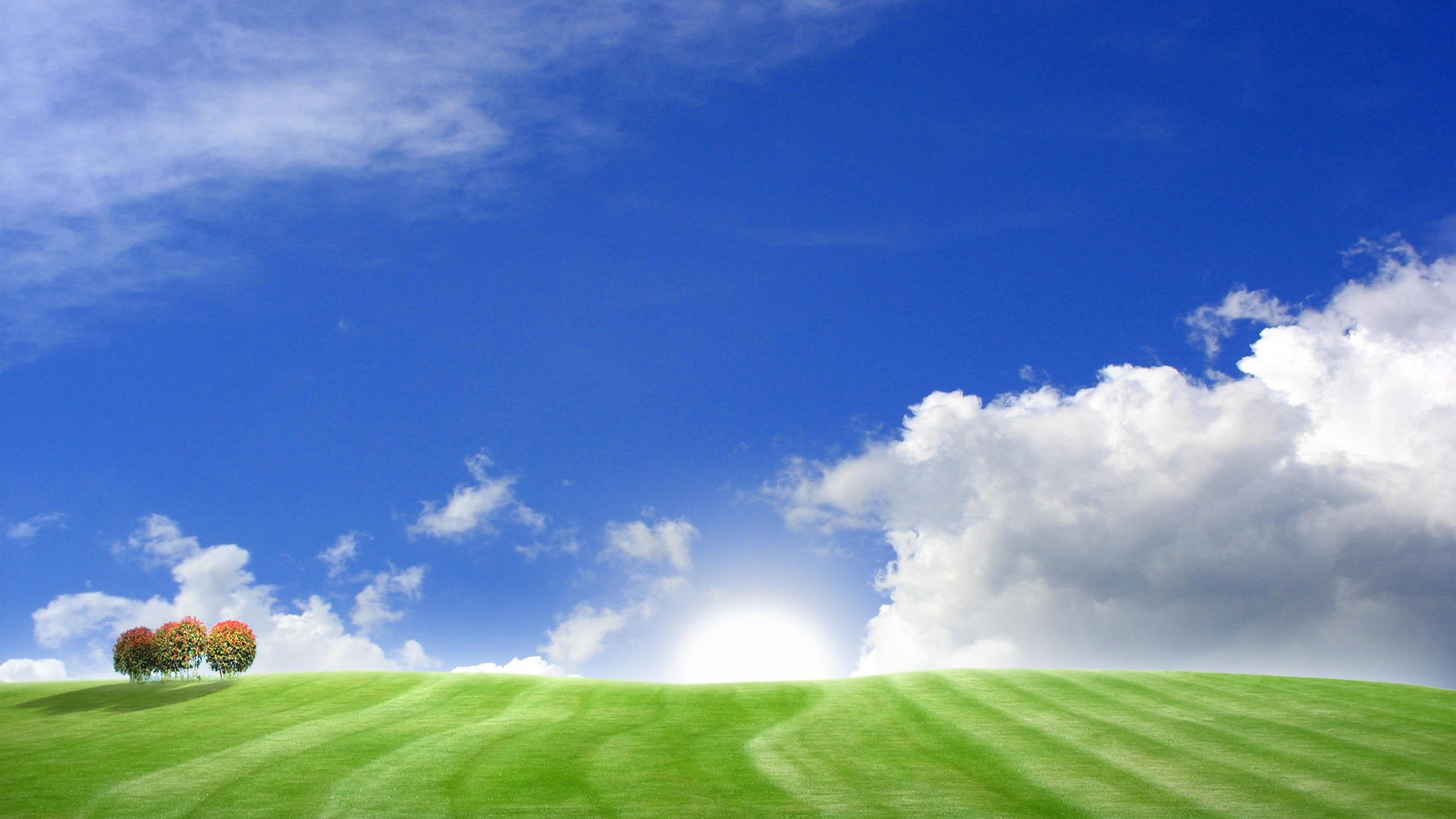 Blue sky and green field - Wonderful summer HD wallpaper