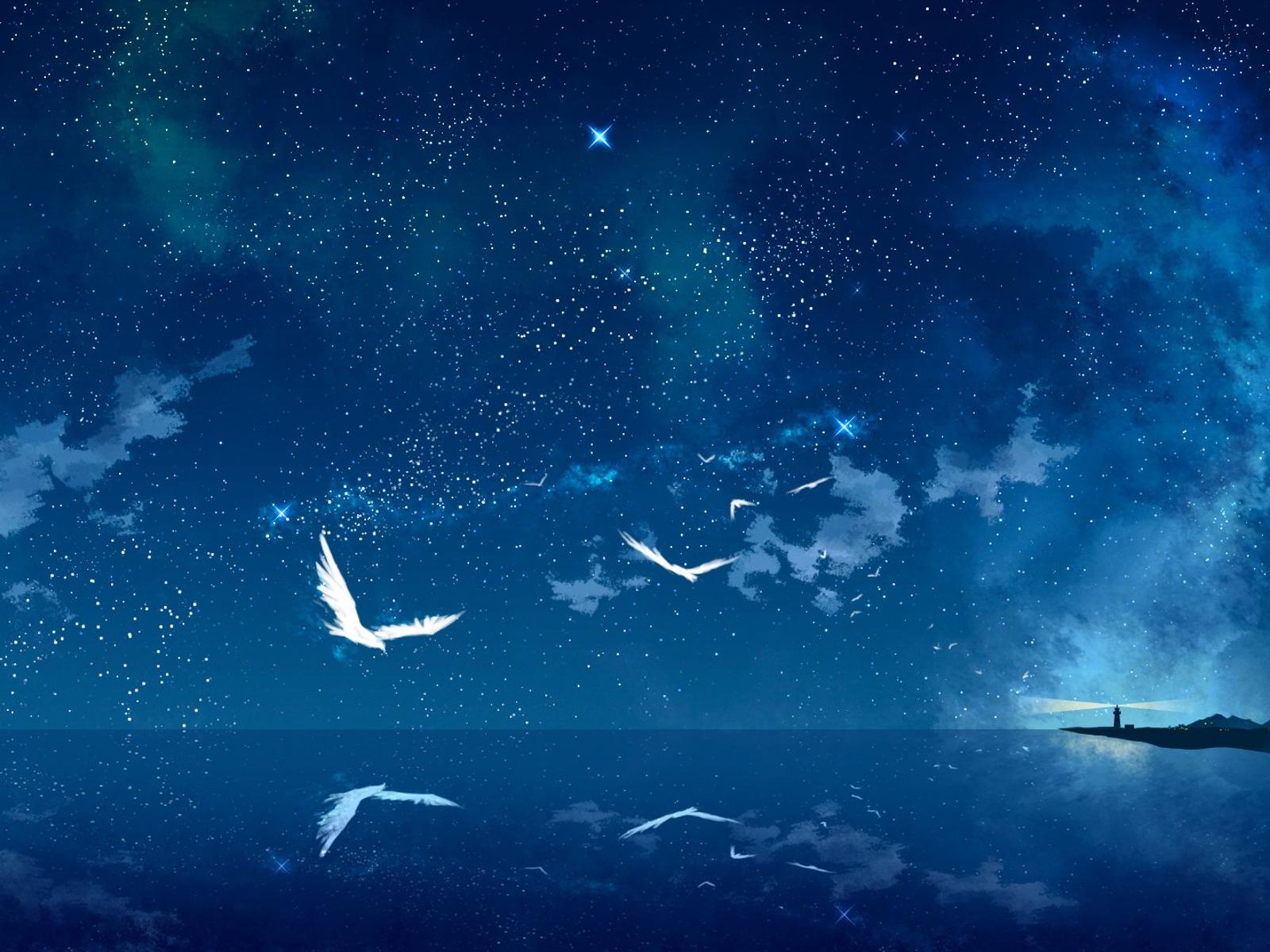 White birds flying over the blue ocean water - Magic mirror